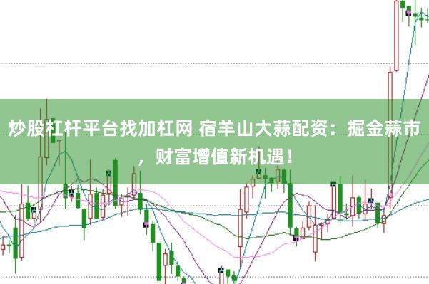 炒股杠杆平台找加杠网 宿羊山大蒜配资：掘金蒜市，财富增值新机遇！