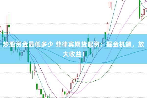 炒股资金最低多少 菲律宾期货配资：掘金机遇，放大收益！