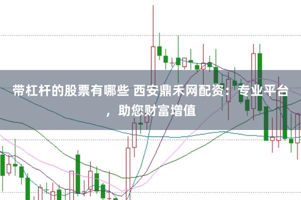 带杠杆的股票有哪些 西安鼎禾网配资：专业平台，助您财富增值