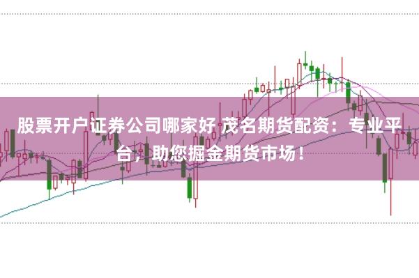 股票开户证券公司哪家好 茂名期货配资：专业平台，助您掘金期货市场！