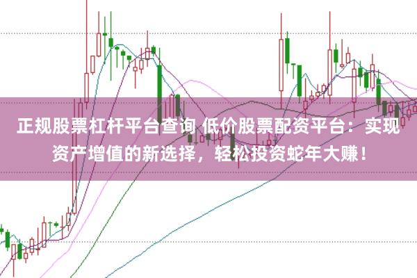 正规股票杠杆平台查询 低价股票配资平台：实现资产增值的新选择，轻松投资蛇年大赚！