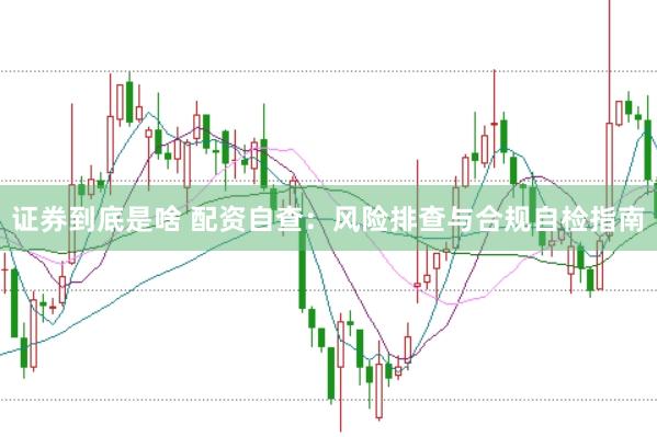 证券到底是啥 配资自查：风险排查与合规自检指南