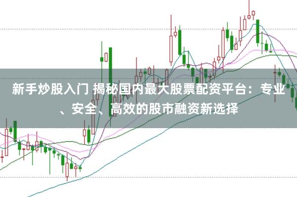 新手炒股入门 揭秘国内最大股票配资平台：专业、安全、高效的股市融资新选择