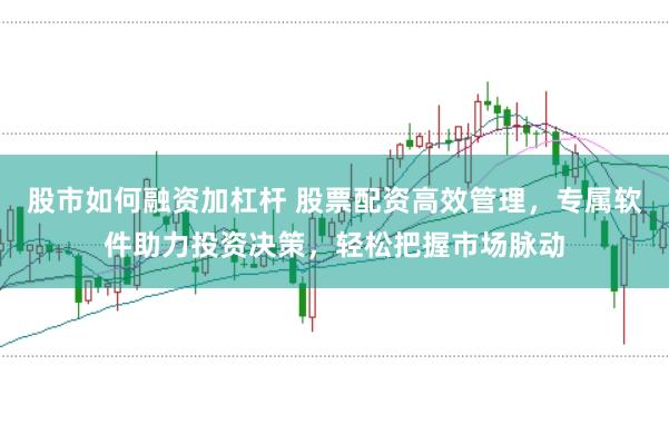 股市如何融资加杠杆 股票配资高效管理，专属软件助力投资决策，轻松把握市场脉动