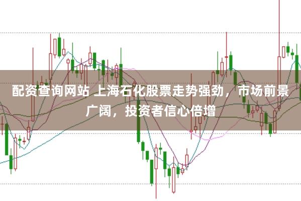 配资查询网站 上海石化股票走势强劲，市场前景广阔，投资者信心倍增