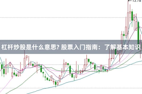 杠杆炒股是什么意思? 股票入门指南：了解基本知识