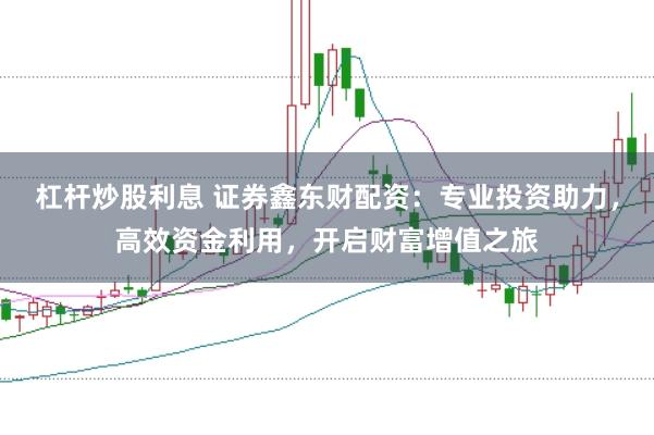 杠杆炒股利息 证券鑫东财配资：专业投资助力，高效资金利用，开启财富增值之旅