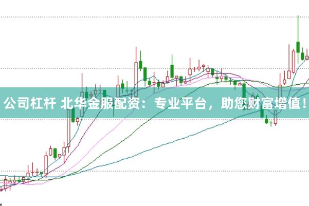 公司杠杆 北华金服配资：专业平台，助您财富增值！