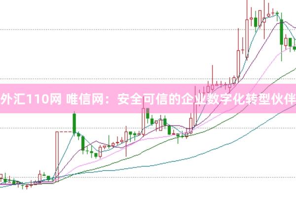 外汇110网 唯信网:安全可信的企业数字化转型伙伴